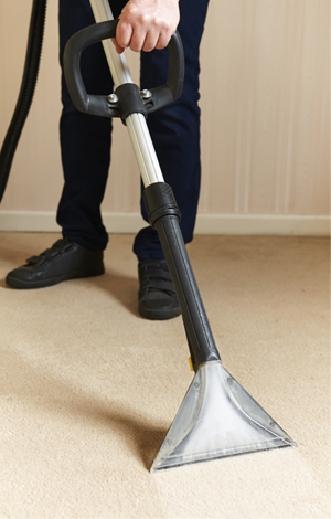 Carpet Cleaning